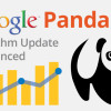 google panda 4.o